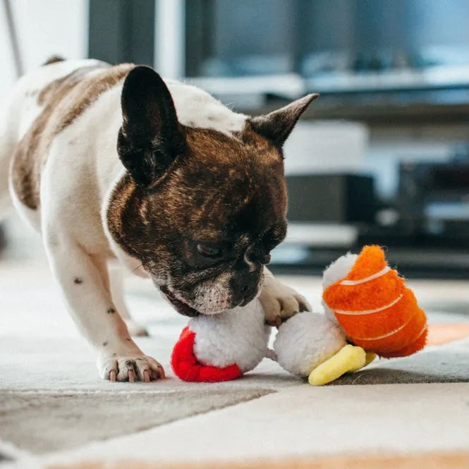 Hundespielzeug - Dog's Sushi