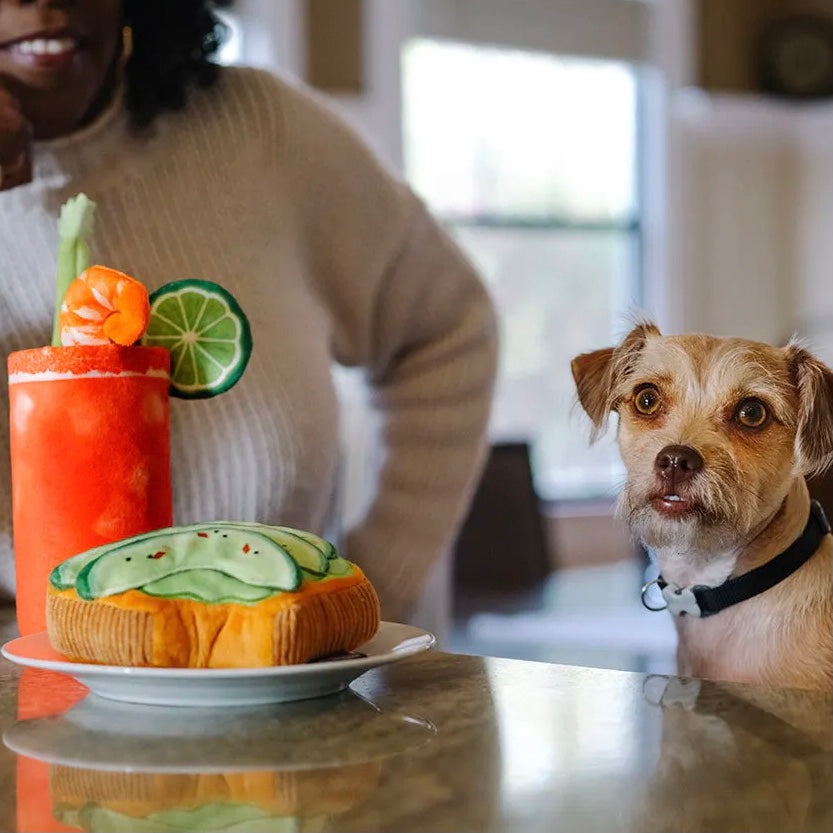 Hundespielzeug - Avo-doggo Toast