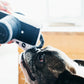 Hundespielzeug - Kamera